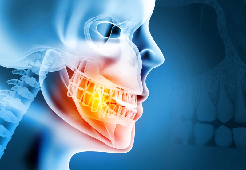 3D-illustration-of-maxilla-and-mandible-dental-anatomy