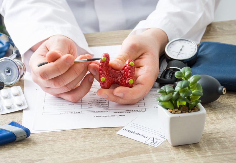 Doctor-explaining-thyroid-and-parathyroid-anatomy