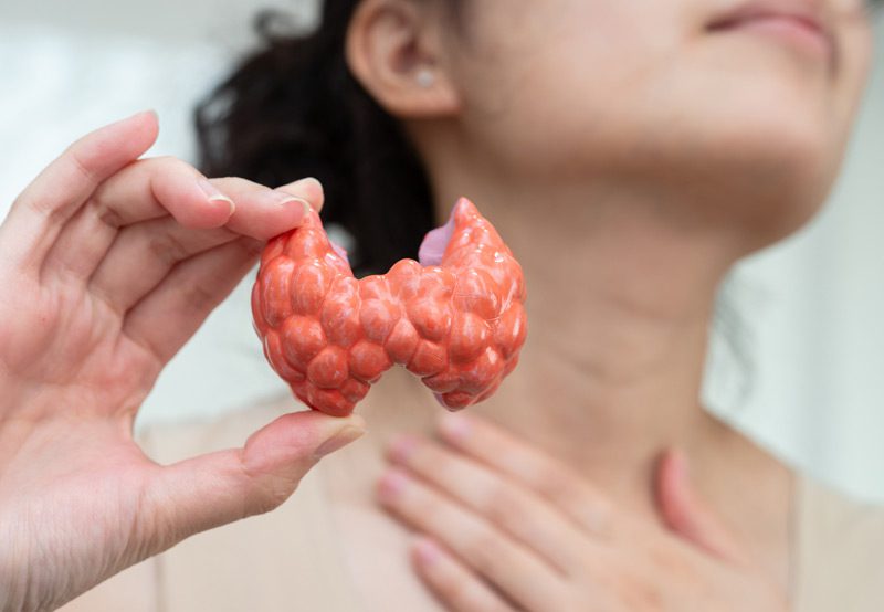 Female-patient-holding-model-of-thyroid-gland