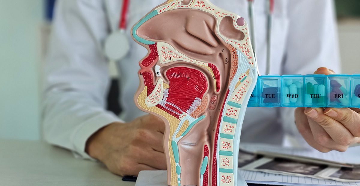 Image-of-doctor-with-nasopharynx-anatomy-model
